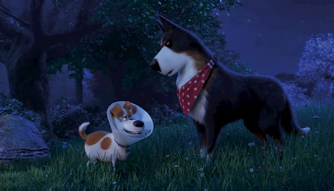 The Secret Life of Pets 2