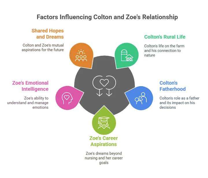 Infographic showing relationship factors in rural matchmaking.