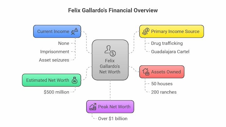 Felix Gallardo’s financial overview chart showing net worth, assets, income sources, and peak wealth.