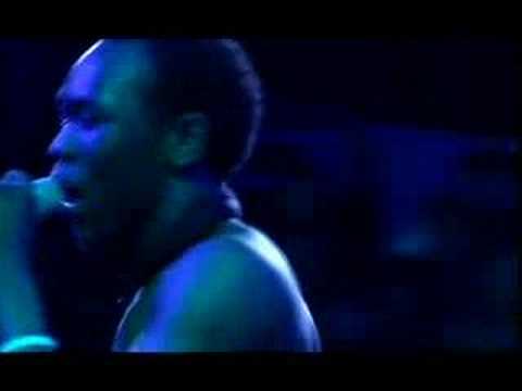 Seun Anikulapo Kuti & Fela's Egypt80 Live