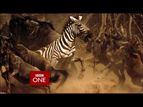 Planet Earth Trailer