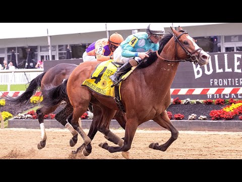 PYRENEES (Brian Hernandez Jr.) - G3 Pimlico Special
