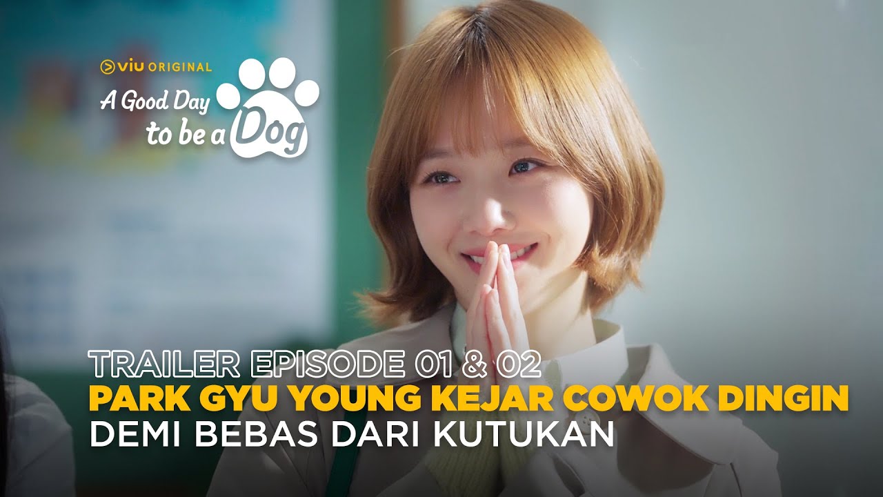 A Good Day To Be A Dog | Trailer Episode 1 & 2 | Cha Eun Woo, Park Gyu Young, Lee Hyun Woo