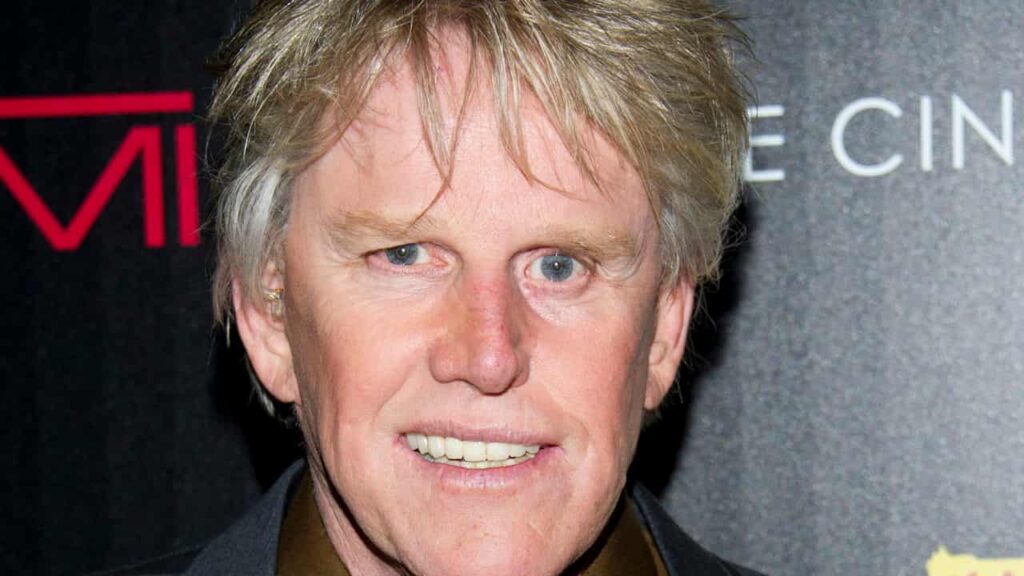 Gary Busey Net Worth 2024, Biography, Professional Life, Net Worth, and