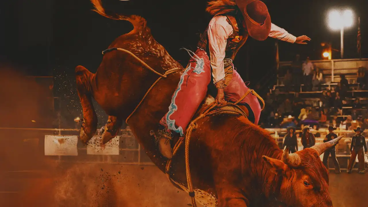 Alexia Huffman bull rider in pink chaps and cowboy hat gripping rope on a bucking bull at rodeo.