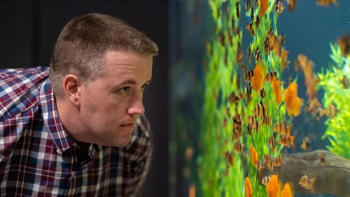 Cory McElroy closely observing a vibrant aquarium filled with colorful fish and lush aquatic plants